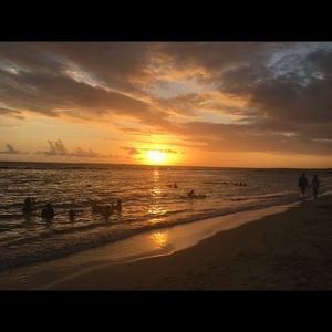 Meet your Posher, Shari